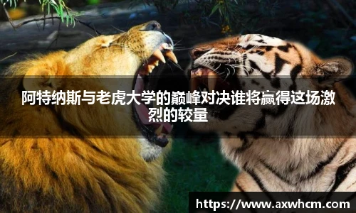 Top1体育官方网址