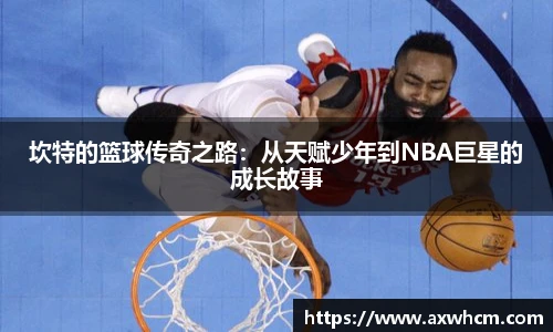 Top1体育网站