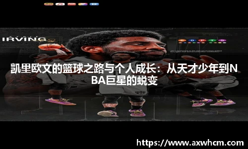 Top1体育全站