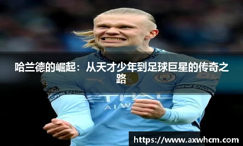 Top1体育全站